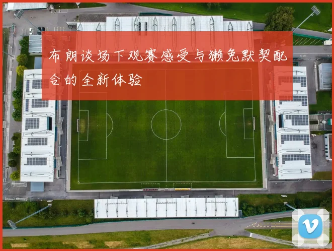 布朗谈场下观赛感受与獭兔默契配合的全新体验
